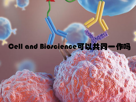 Cell and Bioscience可以共同一作吗