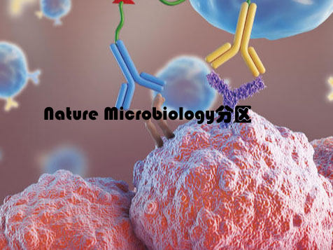 Nature Microbiology分区